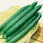 七种低卡蔬菜 控制食欲助瘦身