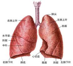 肺结核治疗前的注意事项?